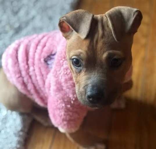 Photo of Lexi