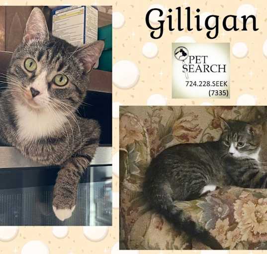Photo of Gilligan