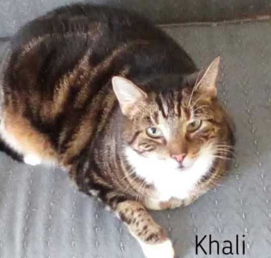 Photo of Khali sweet healthy senior