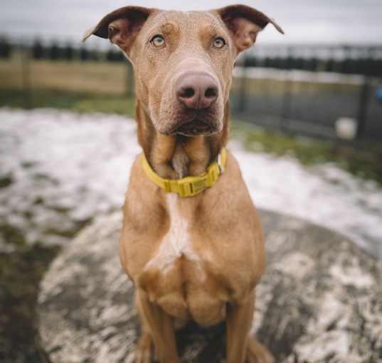 Photo of Lulu