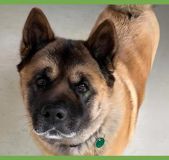 Photo of Keiko