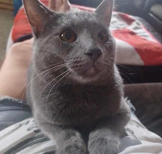 Photo of Stryker