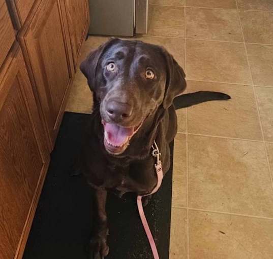 Photo of Annie