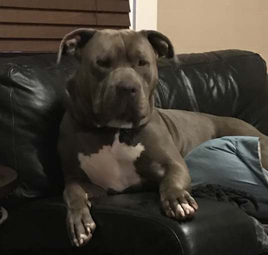 Photo of Blue