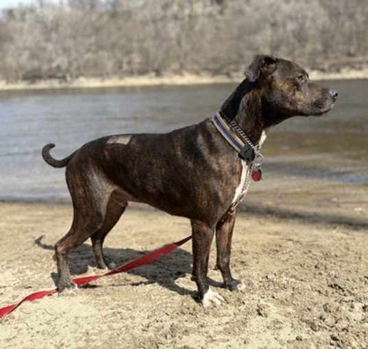 Photo of Zeus D6027