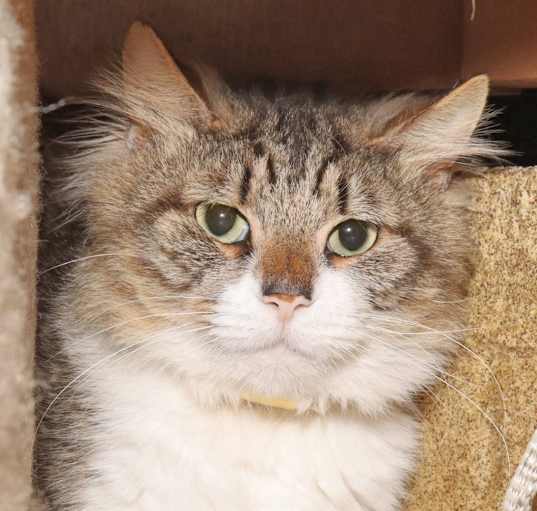 Photo of Jasper
