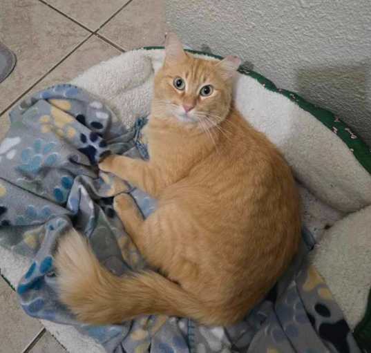 Photo of Sherbie