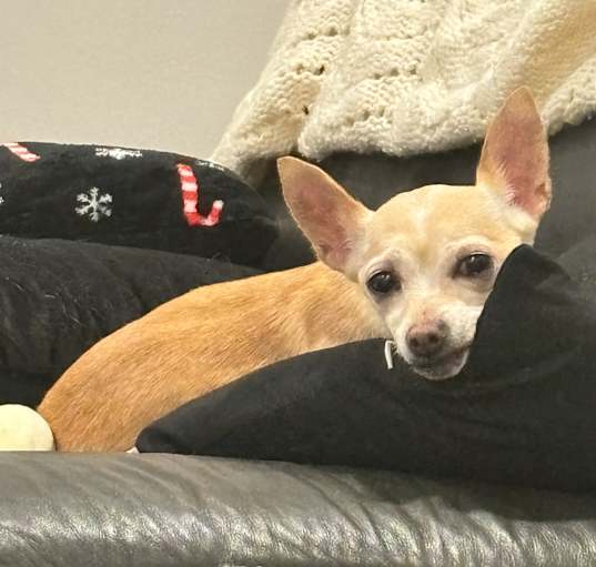 Photo of Mila