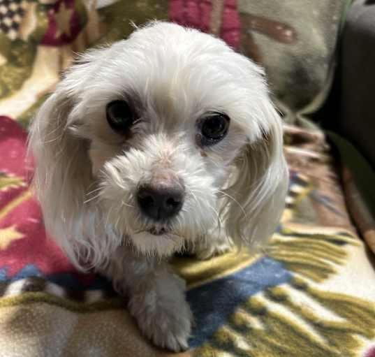 Photo of Kate. 7 lbs
