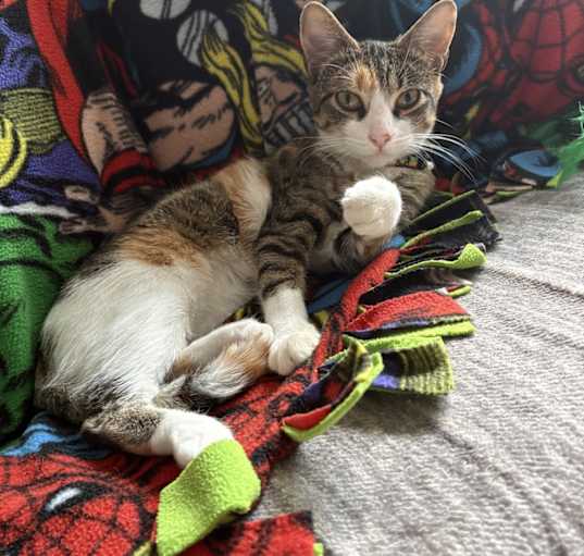 Photo of Bella