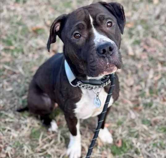 Photo of Ruby