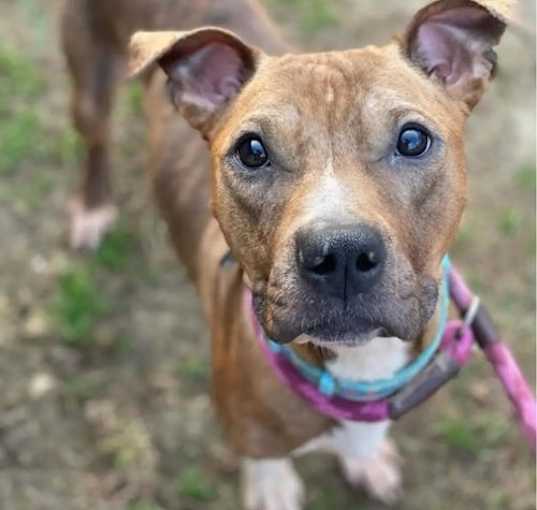 Photo of Penelope