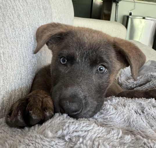 Photo of Bindi