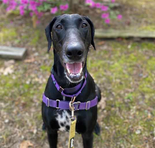 Photo of Molly