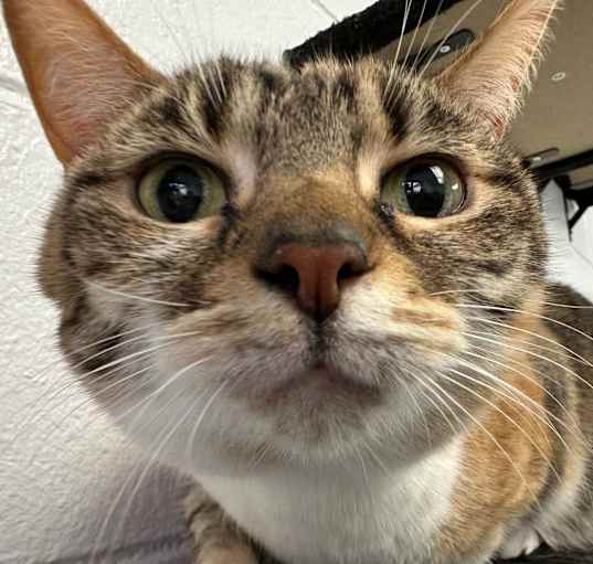 Photo of Fifi