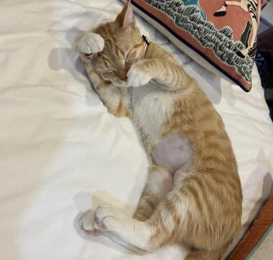 Photo of Junie