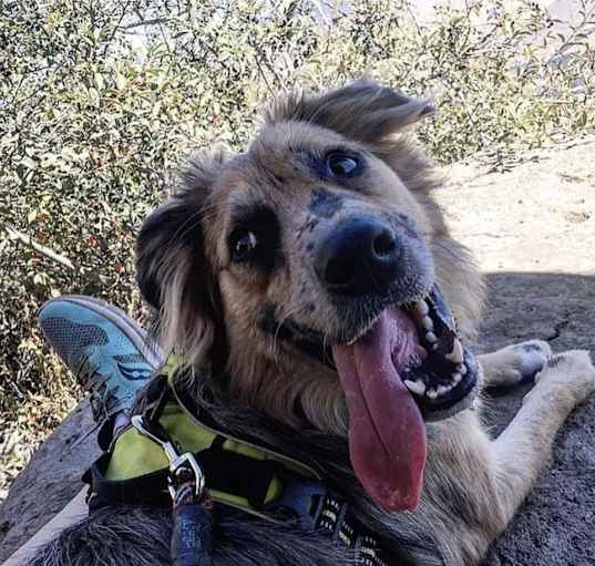 Photo of Oakley