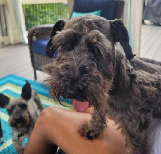Photo of Marley & Bailey
