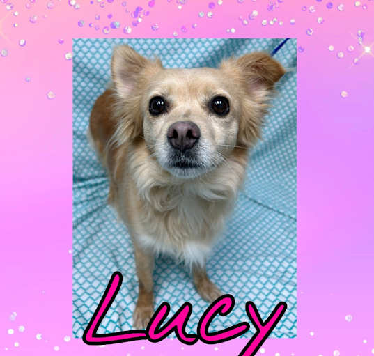Photo of Lucy