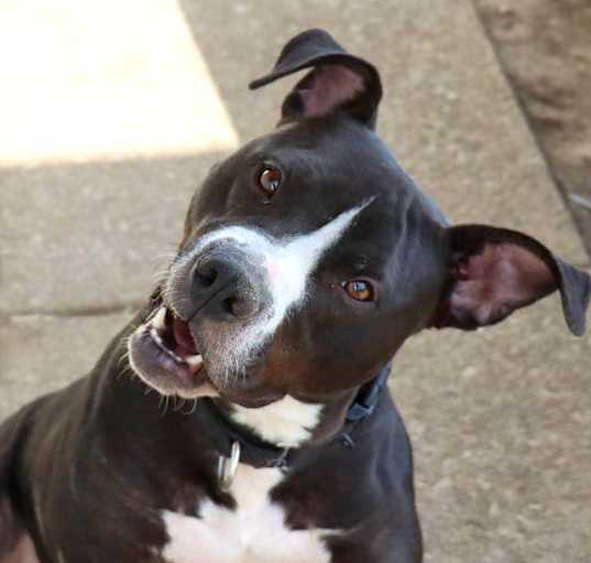 Photo of Gus