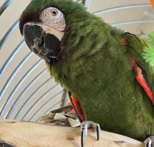 Photo of Maggie