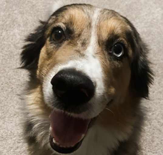 Photo of Kilo