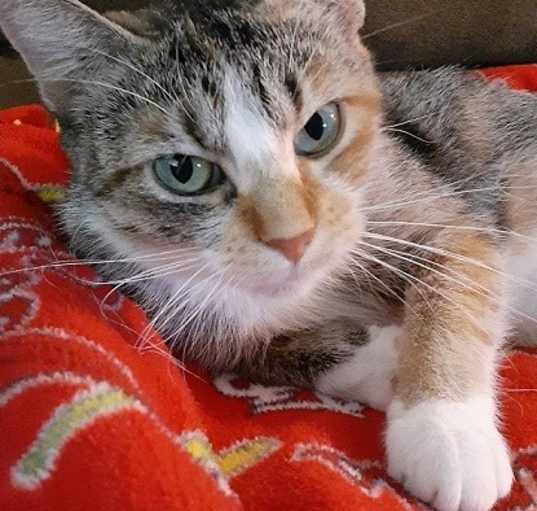 Photo of Tiggy