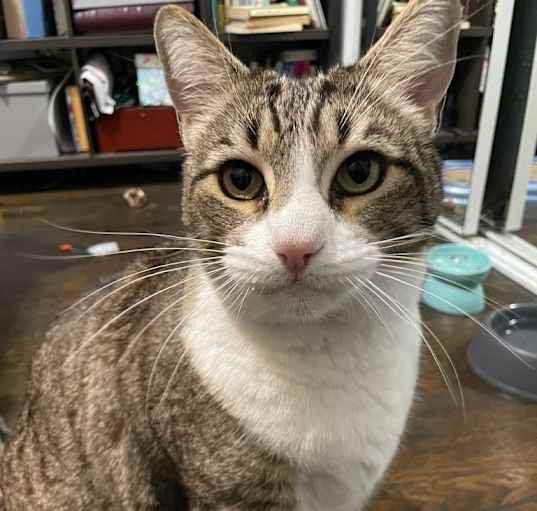 Photo of Max