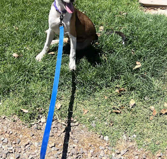 Photo of Max
