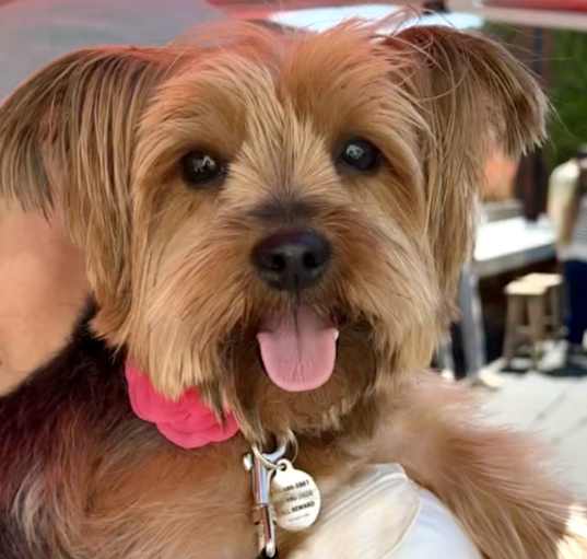 Photo of Camila
