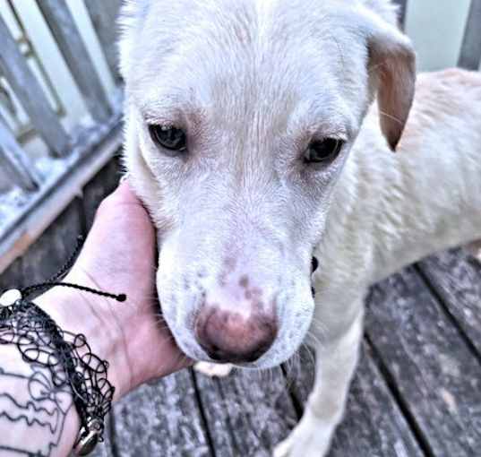 Photo of Cletus
