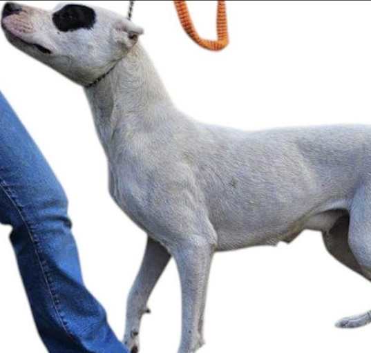 Photo of Aza URGENT HELP NEEDED NOW!