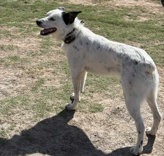 Photo of Ghost