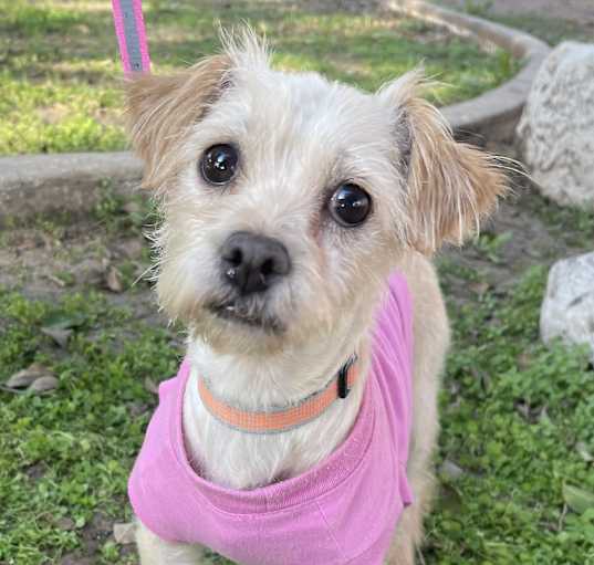 Photo of LUCY