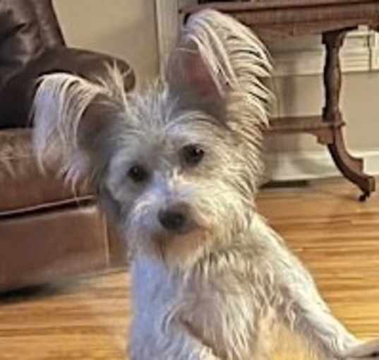 Photo of Izzy