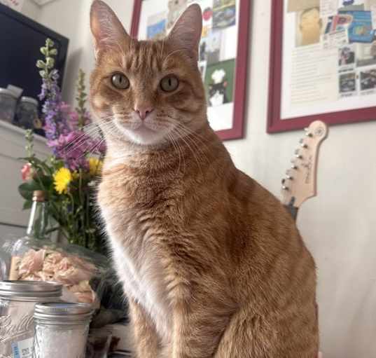 Photo of Jax