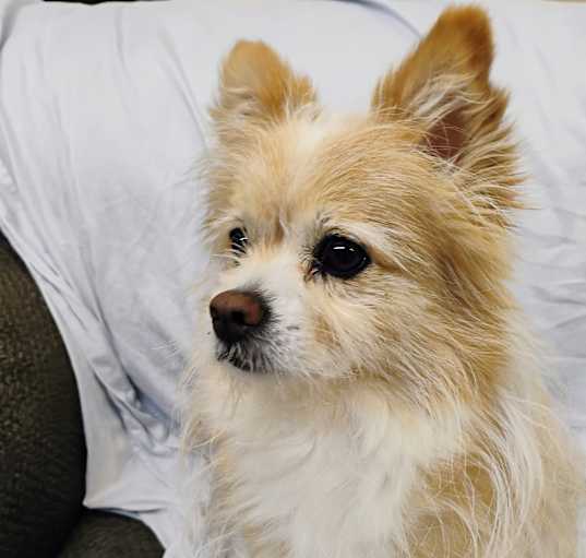 Photo of LUCKY