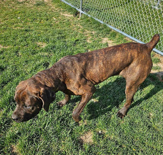 Photo of Stormy
