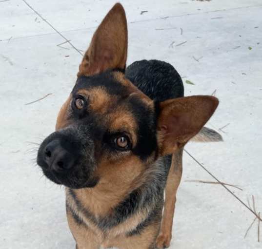 Photo of Riley 25-D0193