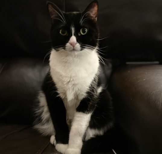 Photo of Jaspurr