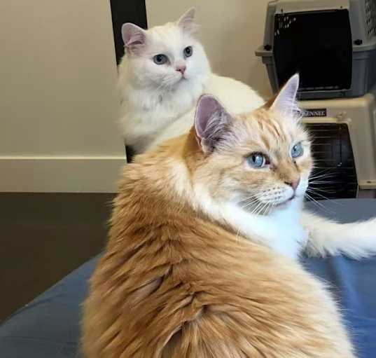 Photo of Chairman and Memory