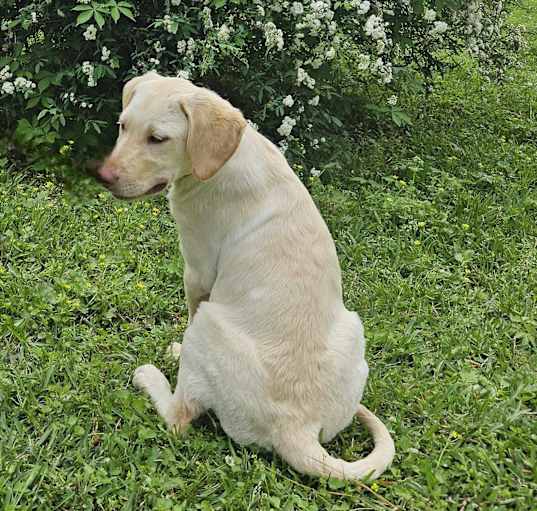 Photo of Zamp
