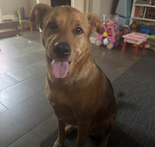 Photo of Thor