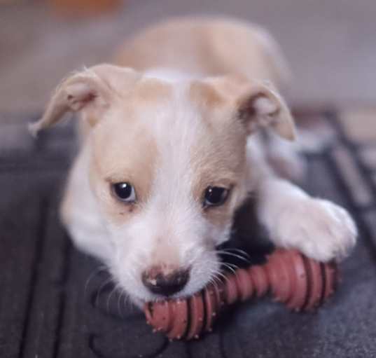 Photo of Macy