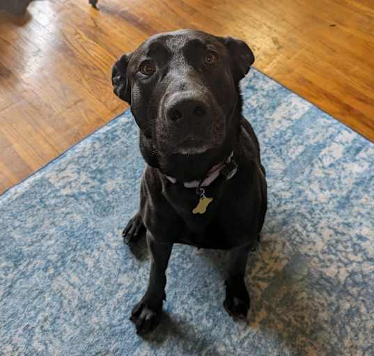 Photo of MARLEY