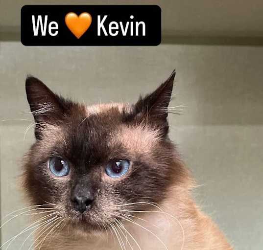 Photo of Kevin