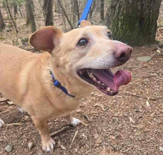 Photo of Spike in RI