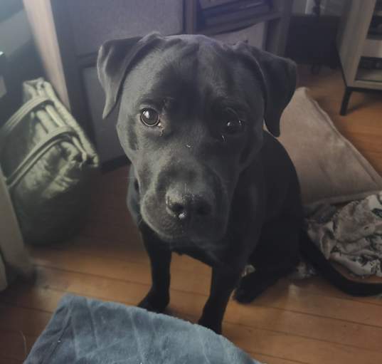 Photo of Arya