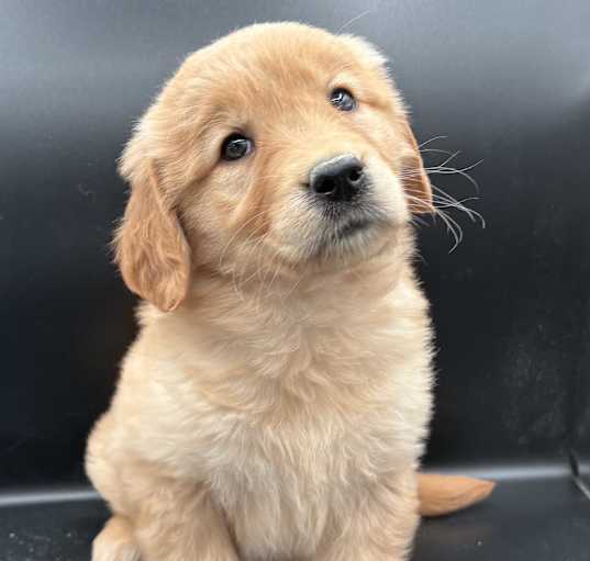 Photo of MARLEY