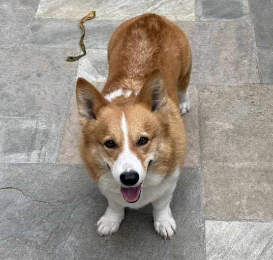 Photo of Lele
